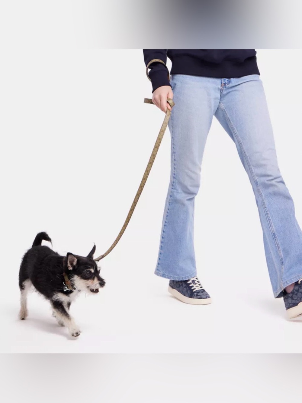 Coach Small Pet Collar and Leash - Picture 5 of 5